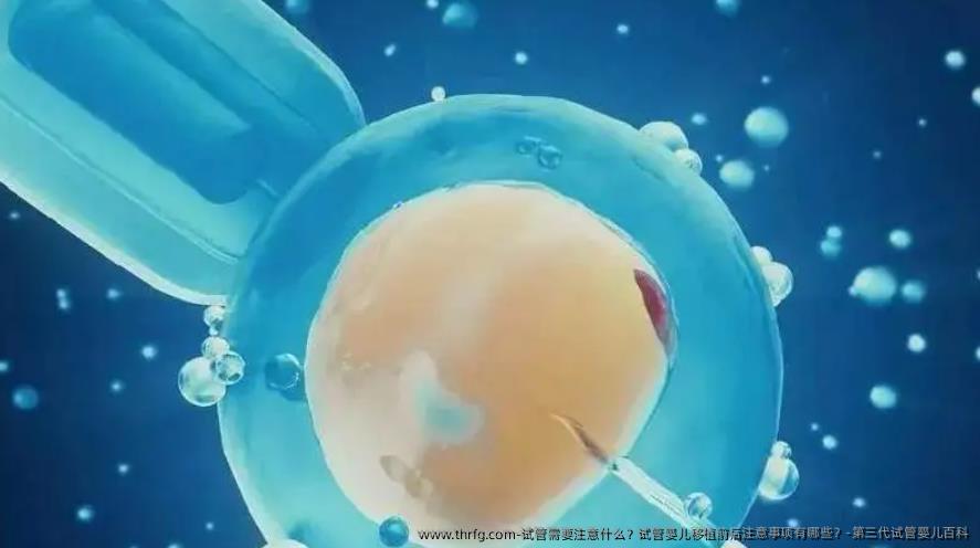 试管需要注意什么？试管婴儿移植前后注意事项有哪些？-第三代试管婴儿百科