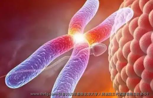 快看2025年最新北京大学人民医院三代试管费用总共多少？
