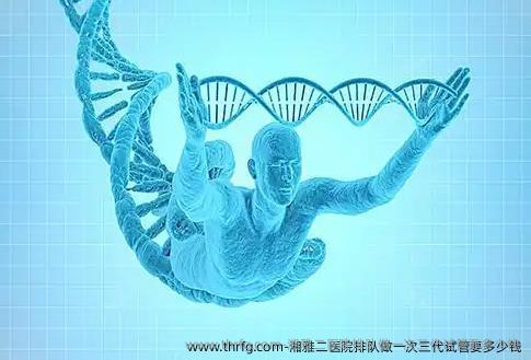 湘雅二医院排队做一次三代试管要多少钱