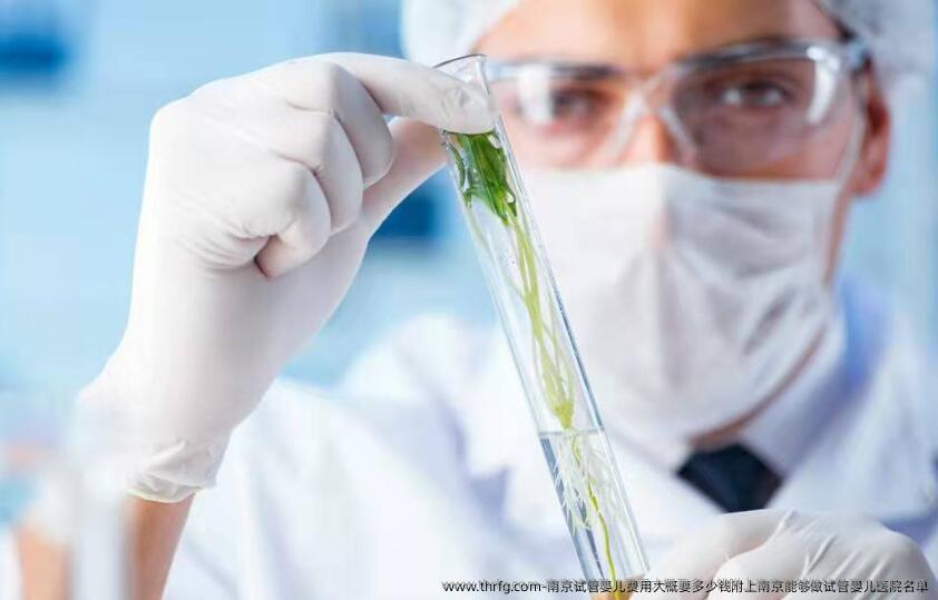 南京试管婴儿费用大概要多少钱附上南京能够做试管婴儿医院名单
