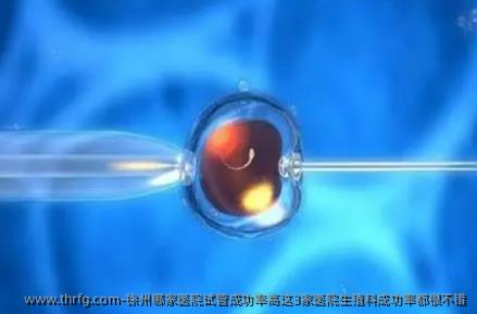 徐州哪家医院试管成功率高这3家医院生殖科成功率都很不错