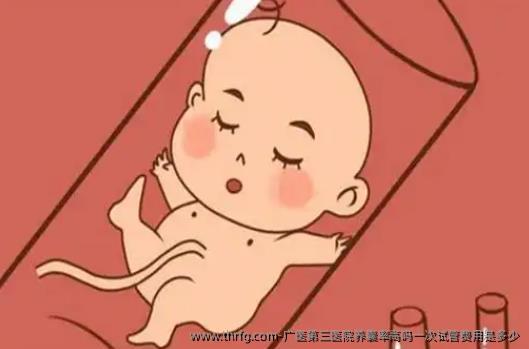 广医第三医院养囊率高吗一次试管费用是多少
