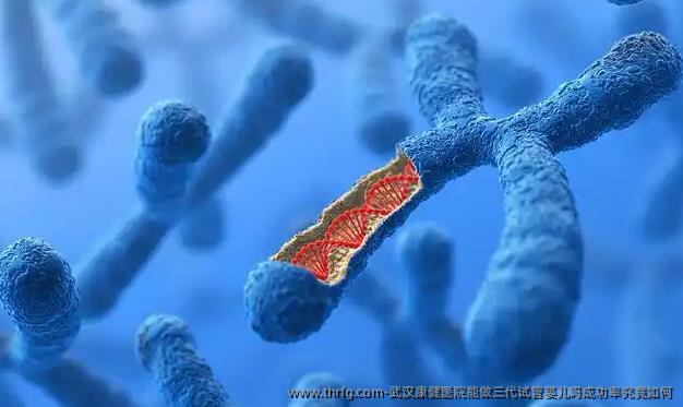 武汉康健医院能做三代试管婴儿吗成功率究竟如何