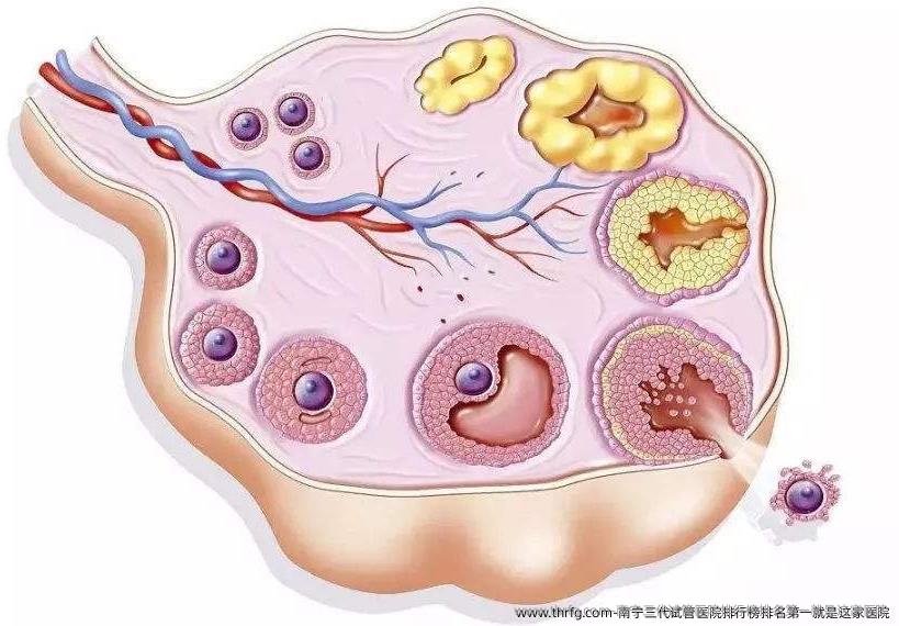 南宁三代试管医院排行榜排名第一就是这家医院