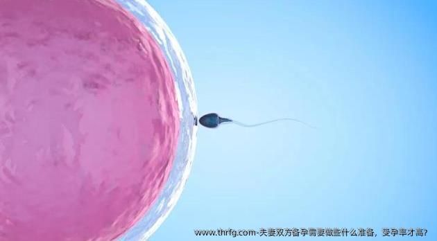 夫妻双方备孕需要做些什么准备，受孕率才高？