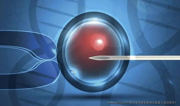 内分泌失调会影响试管婴儿成功率吗？