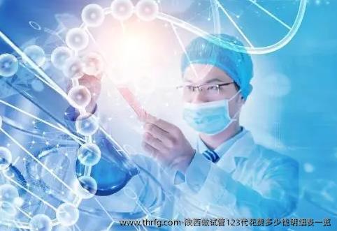 陕西做试管123代花费多少钱明细表一览