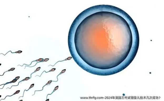 2024年美国三代试管婴儿技术几次成功？