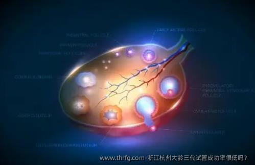 浙江杭州大龄三代试管成功率很低吗？