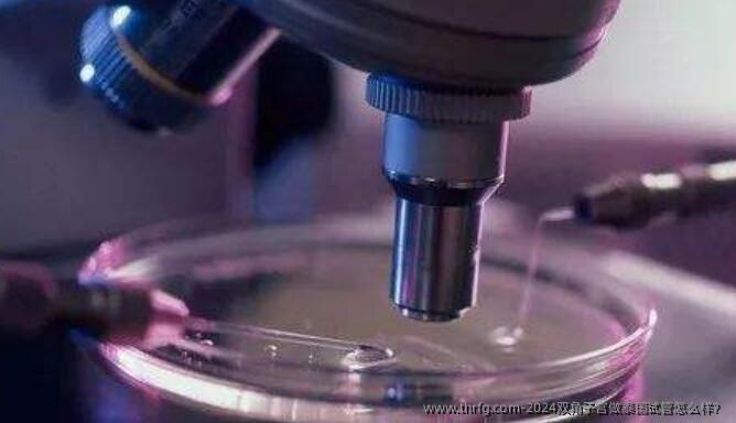 2024双角子宫做泰国试管怎么样？