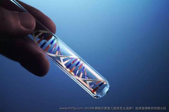 2024年泰国试管婴儿医院怎么选择？选择指南帮你找到心仪