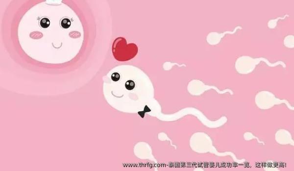 泰国第三代试管婴儿成功率一览，这样做更高！