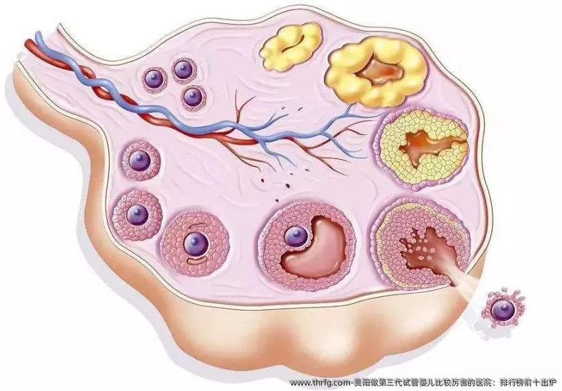 贵阳做第三代试管婴儿比较厉害的医院：排行榜前十出炉