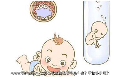上海三代试管成功率高不高？价格多少钱？