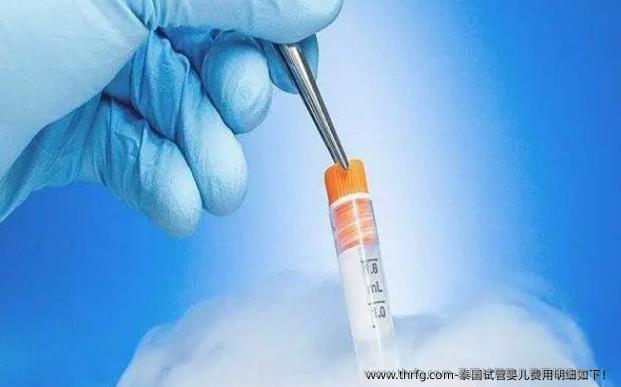 泰国试管婴儿费用明细如下！