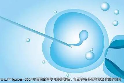 2025年泰国试管婴儿费用详解：全面解析各项收费及其影响因素