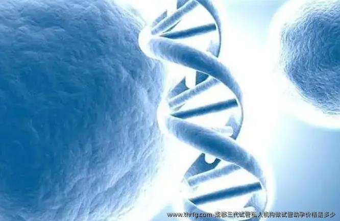 成都三代试管私人机构做试管助孕价格是多少