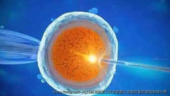 2025杭州做第三代试管婴儿比较厉害的医院新排行榜