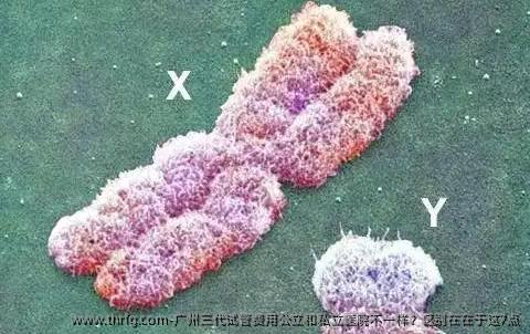 广州三代试管费用公立和私立医院不一样？区别在在于这7点