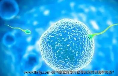 国内做试管婴儿推荐医院的因素有哪些？