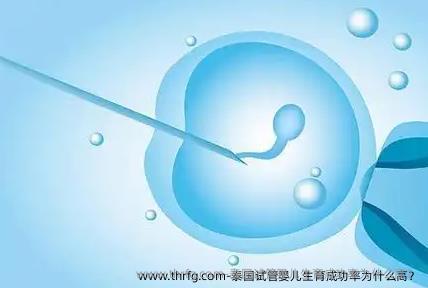 泰国试管婴儿生育成功率为什么高？