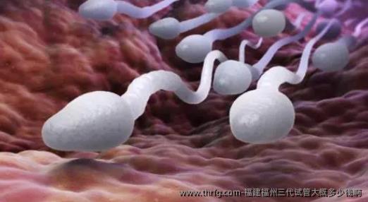 福建福州三代试管大概多少钱啊