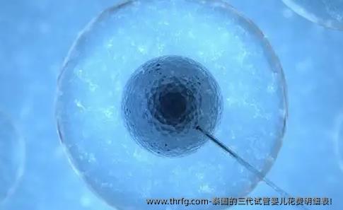 泰国的三代试管婴儿花费明细表！