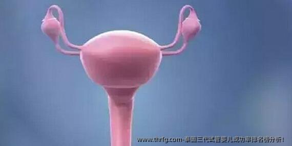 泰国三代试管婴儿成功率排名榜分析！