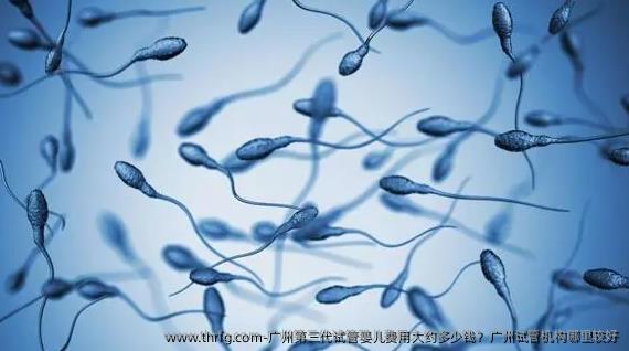 广州第三代试管婴儿费用大约多少钱？广州试管机构哪里较好