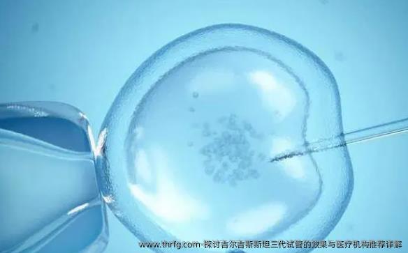 探讨吉尔吉斯斯坦三代试管的效果与医疗机构推荐详解