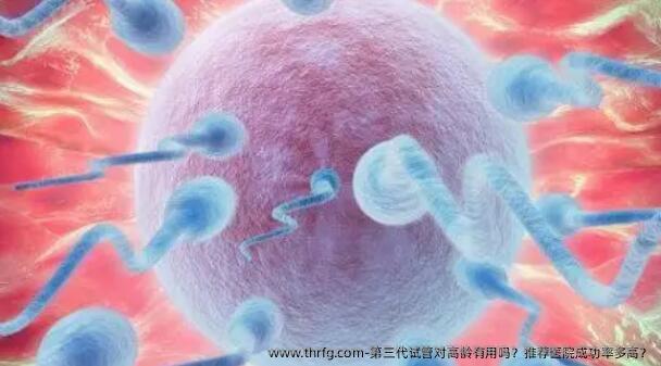 第三代试管对高龄有用吗？推荐医院成功率多高？