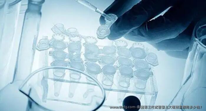 泰国第三代试管婴儿大概预算费用多少钱？
