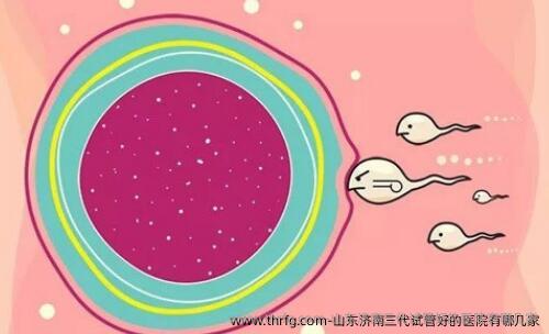 山东济南三代试管好的医院有哪几家