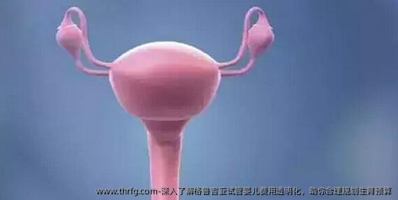 深入了解格鲁吉亚试管婴儿费用透明化，助你合理规划生育预算