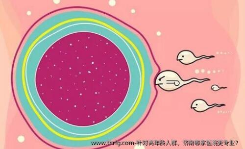 针对高年龄人群，济南哪家医院更专业？