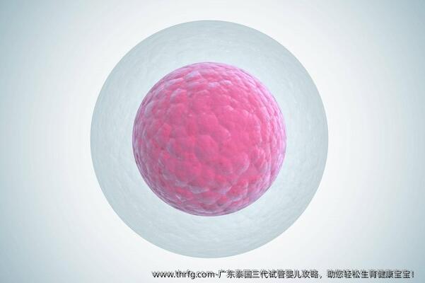 广东泰国三代试管婴儿攻略，助您轻松生育健康宝宝！