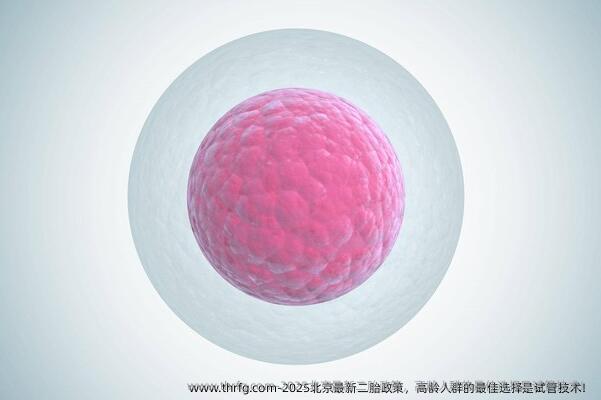 2025北京最新二胎政策，高龄人群的较好选择是试管技术！