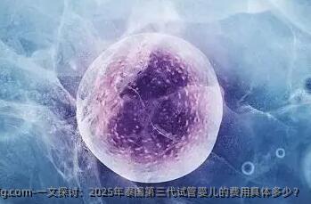 一文探讨：2025年泰国第三代试管婴儿的费用具体多少？