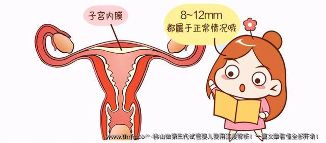 佛山做第三代试管婴儿费用深度解析！一篇文章看懂全部开销！