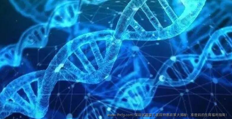 深圳试管婴儿医院特惠政策大揭秘：准爸妈的生育福利指南！