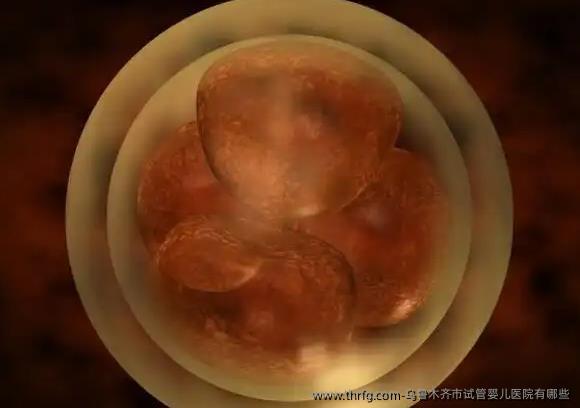 乌鲁木齐市试管婴儿医院有哪些