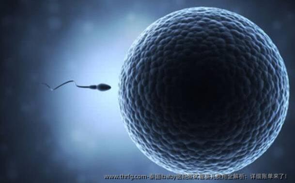 泰国ibaby医院做试管婴儿费用全解析：详细账单来了！