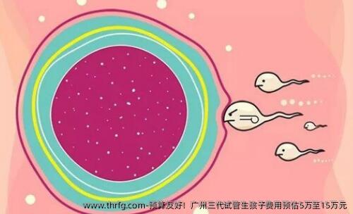 预算友好！广州三代试管生孩子费用预估5万至15万元