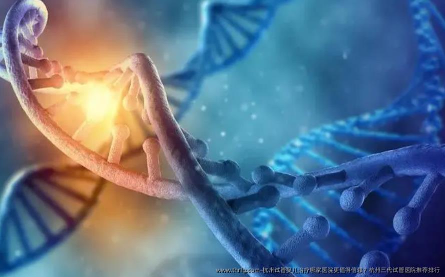 杭州试管婴儿治疗哪家医院更值得信赖？杭州三代试管医院推荐排行