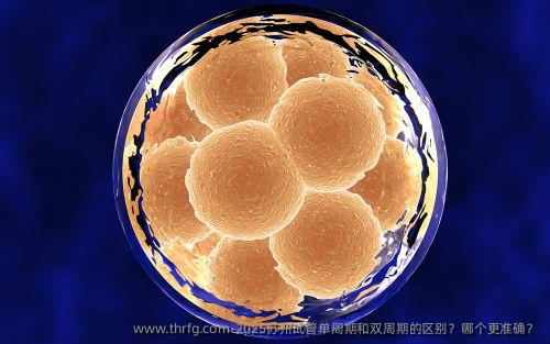 2025苏州试管单周期和双周期的区别？哪个更准确？