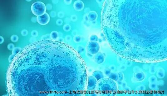上海试管婴儿医院排名解析及高龄孕妇羊水穿刺必要性探讨