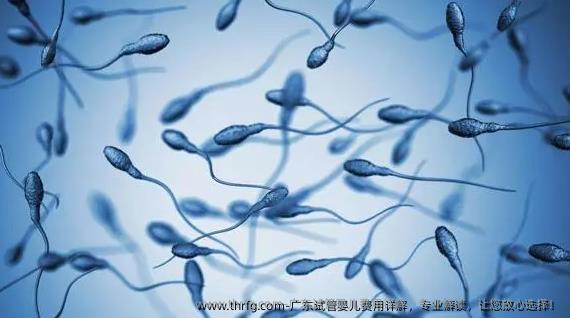 广东试管婴儿费用详解，专业解读，让您放心选择！