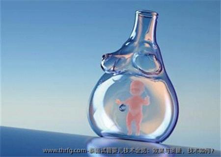 泰国试管婴儿技术全览：效果与质量，技术如何？