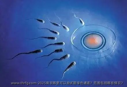 2025南京哪里可以走试管绿色通道？范围包括哪些情况？
