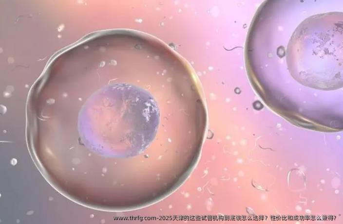 2025天津的这些试管机构到底该怎么选择？性价比和成功率怎么兼得？